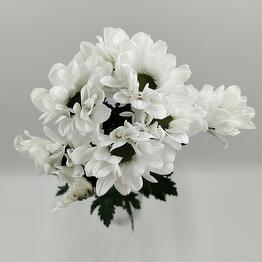 Gabriela floristeriya