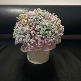 Flores en Caja
