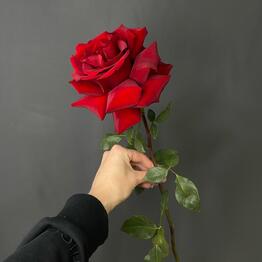 Овчинникова флаверс 