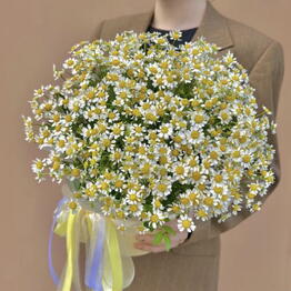 Helly Flowers
