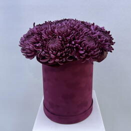 BB Flowers