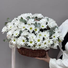 Cvet Nastroeniya Chernikovka