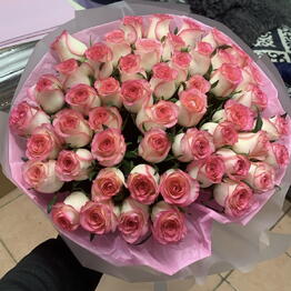 dassy flowers