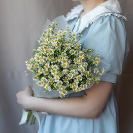 Прованс