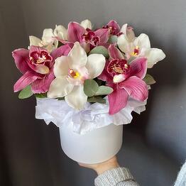 Orquídeas blanco-rosa en el boxeo
