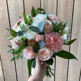 Nelumbo flowers