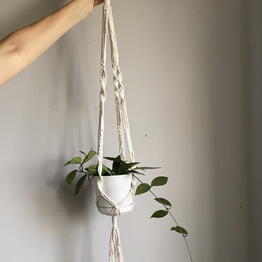 Любовь Фло