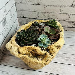 ЭДЕМ botanical studio