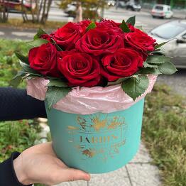 JARDIN 
