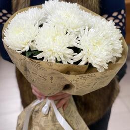 Iris Blumen