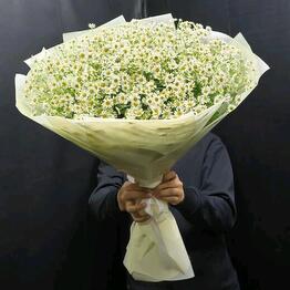 Eva Flowers