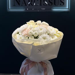 NARCISSUS