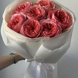 Pinkroses by