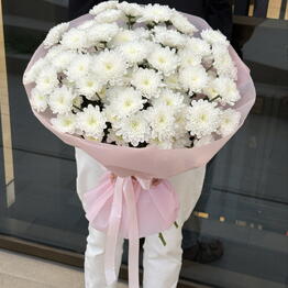 Cantar Flores