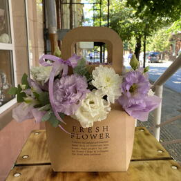 BEAUTY FLOWERS
