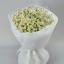 OK Flowers