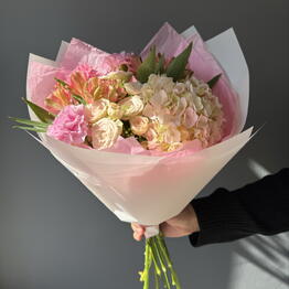 Sofia Flowers