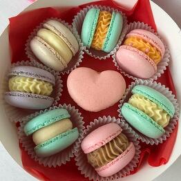 Macaronnik