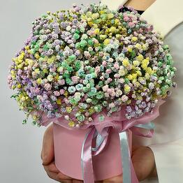 Arka flowers