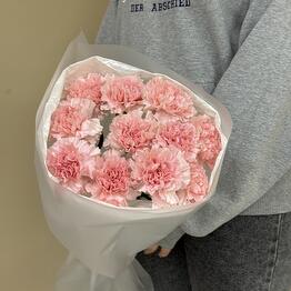 11 розовых диантусов