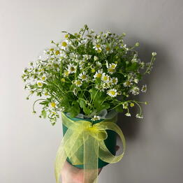 Цветы CRAFTBUKET