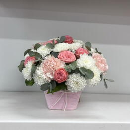 Loksi Flora