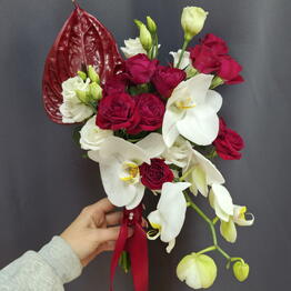 Sofi_flowers