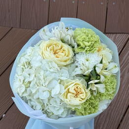 Blooming Flowers