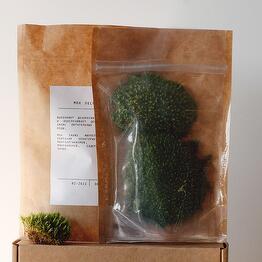 Heis plant