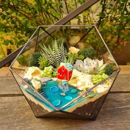 Florarium con suculentas en icosaedro