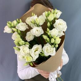 Zeffir flowers