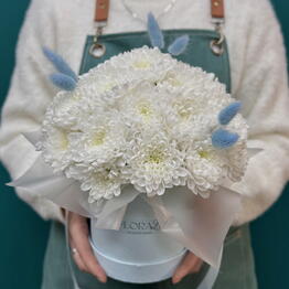 FloraLi