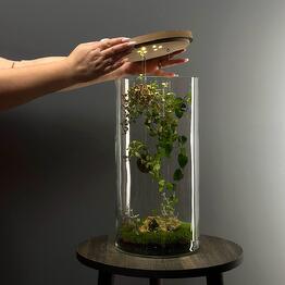 Florariumy Neopure