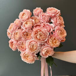 Flowers titan