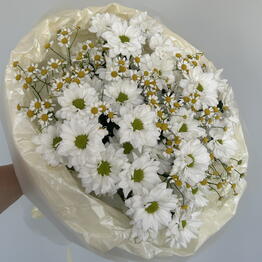 Pro Flowers