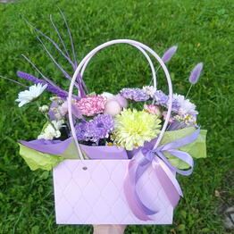 Dianthus 