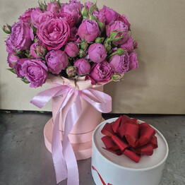 Lilac Flowers