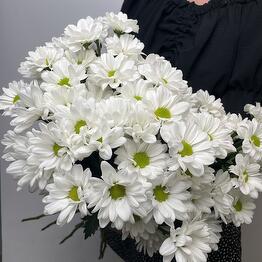  FLOWER DREAM