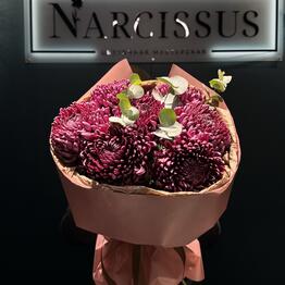 NARCISSUS
