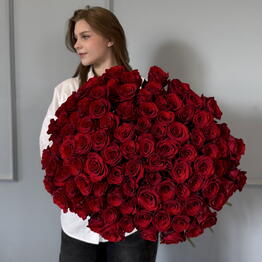 101 rose red 60 cm