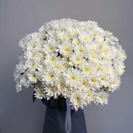 Цветыторг