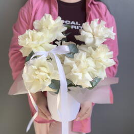 Vivat Flowers