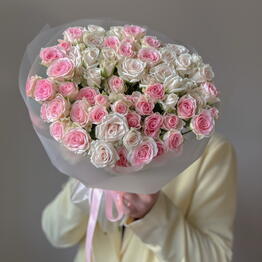 MONIK