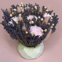 Lavanda