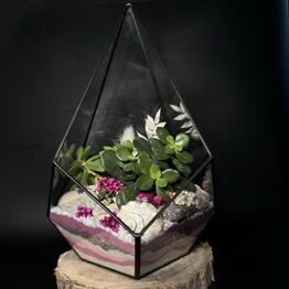 Фея_Flora