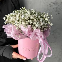 PIONFLO, цветочный салон