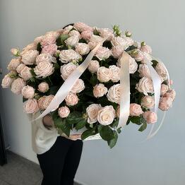   Edelveys