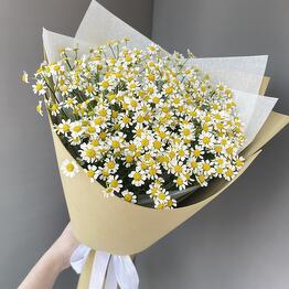 Букет из ромашек кустовых 9 штук
