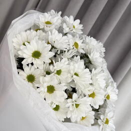 Lumen Flore