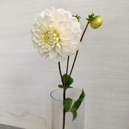 Flowershop.store